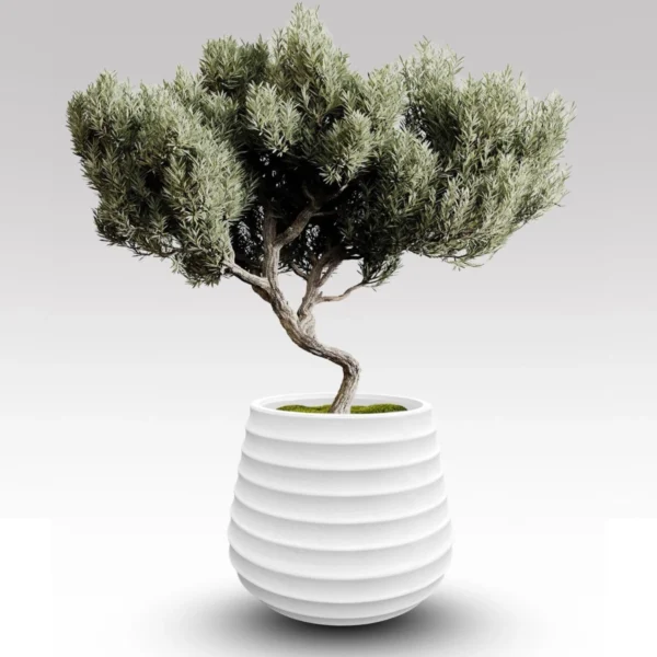 Granada Indoor Planter - Image 2