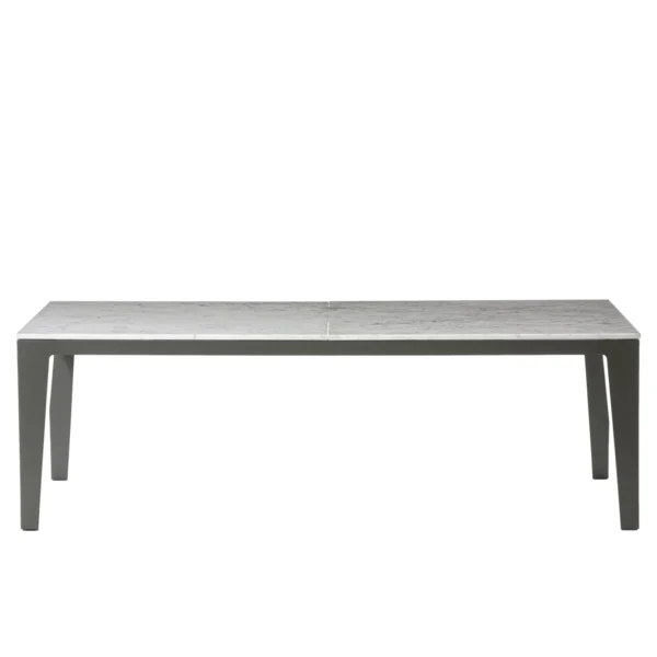 Inout Dining table