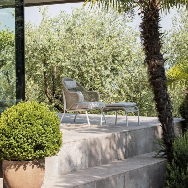 Agave Armchair - Image 8