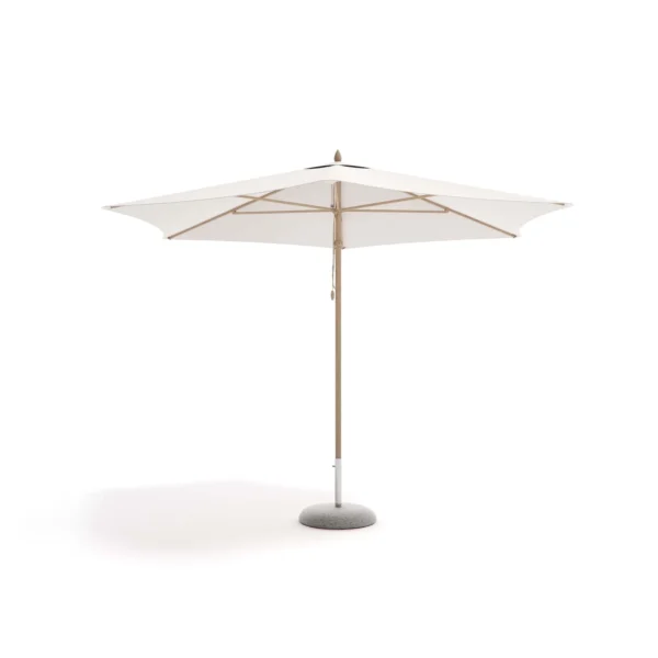 Desert Parasol