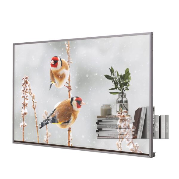 Transparent OLED Display