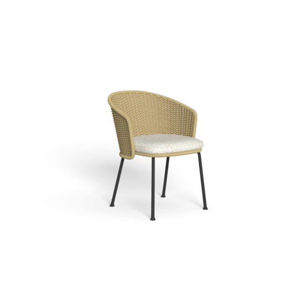Nido Dining Armchair