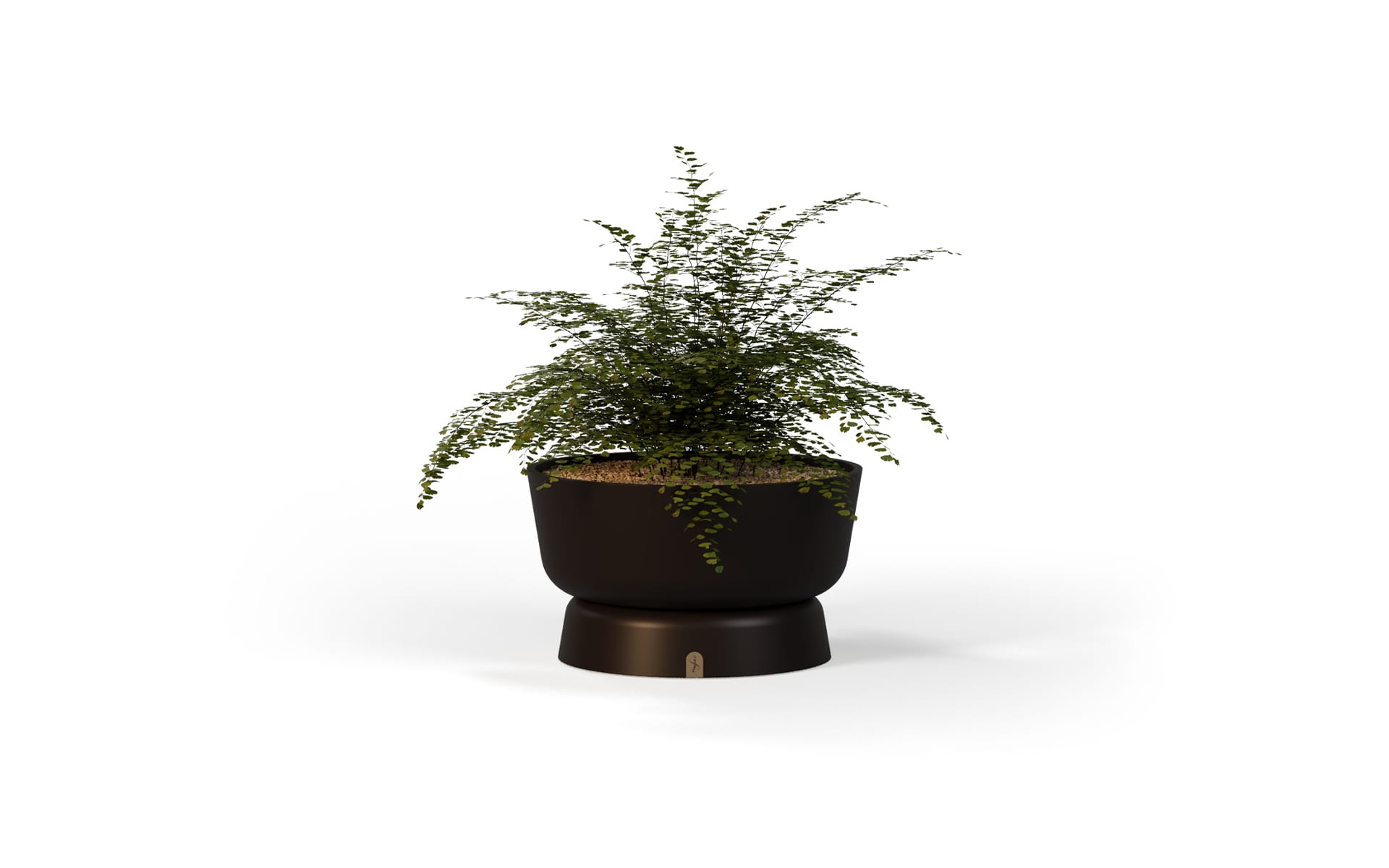 Eden Planter B 4 Eden Planter B - Image 4