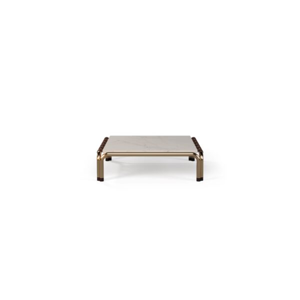 Hound Coffee Table I
