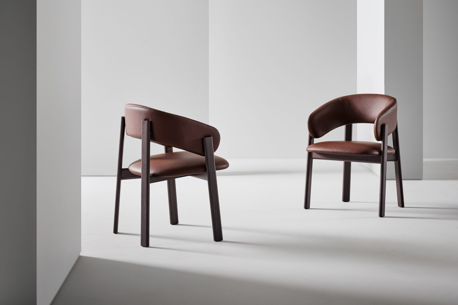 Alpha Dining Chair 3 Alpha Dining Chair