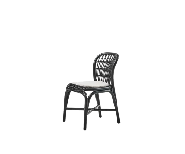 Santé Chair